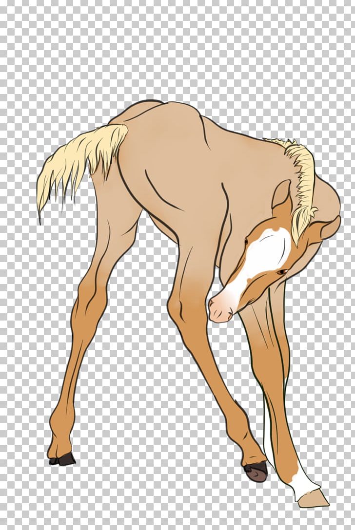 Camel Mustang Foal Deer Pack Animal PNG, Clipart, Animals, Arm, Camel, Cartoon, Cattle Free PNG Download