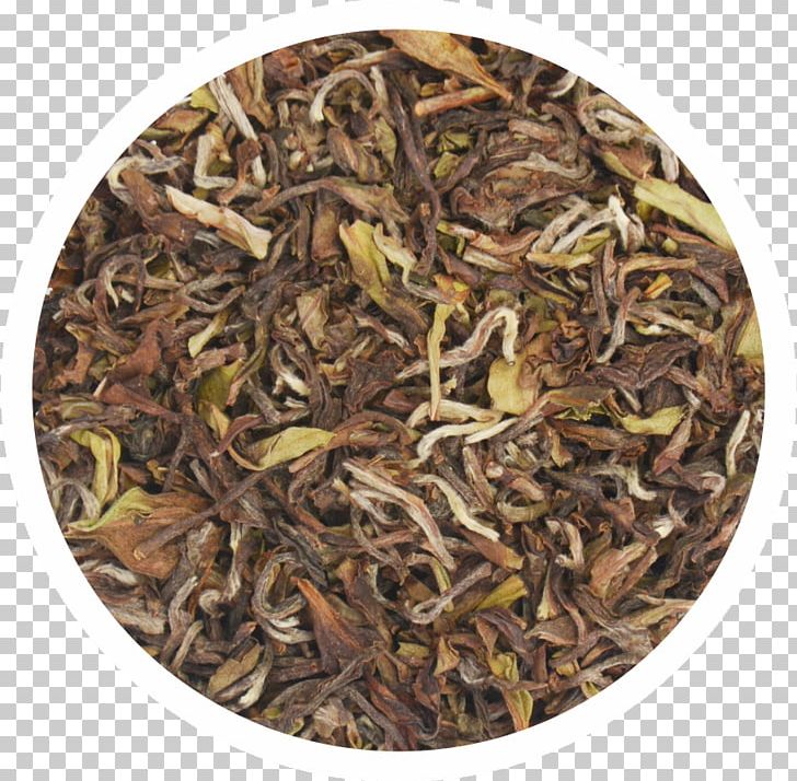 Dianhong Darjeeling Tea Green Tea Nilgiri Tea PNG, Clipart, Assam Tea, Bai Mudan, Bancha, Biluochun, Ceylon Tea Free PNG Download