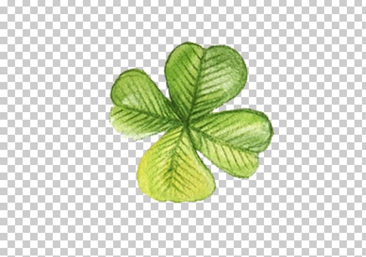 Four-leaf Clover Luck PNG, Clipart, Color, Drawing, Flowers, Fourleaf Clover, Green Free PNG Download