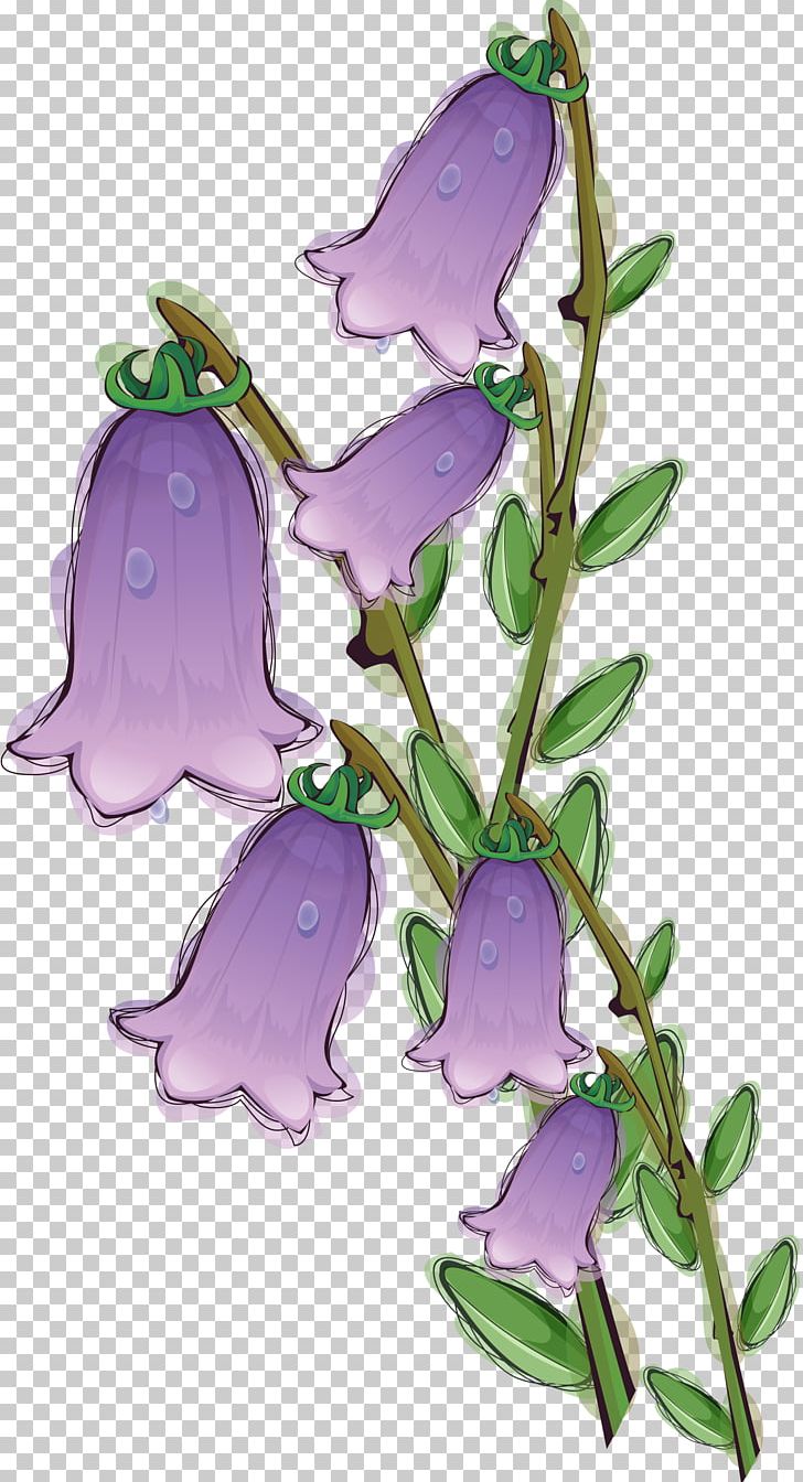 Flower PNG, Clipart, Bellflower Family, Bells, Branch, Computer Icons, Download Free PNG Download