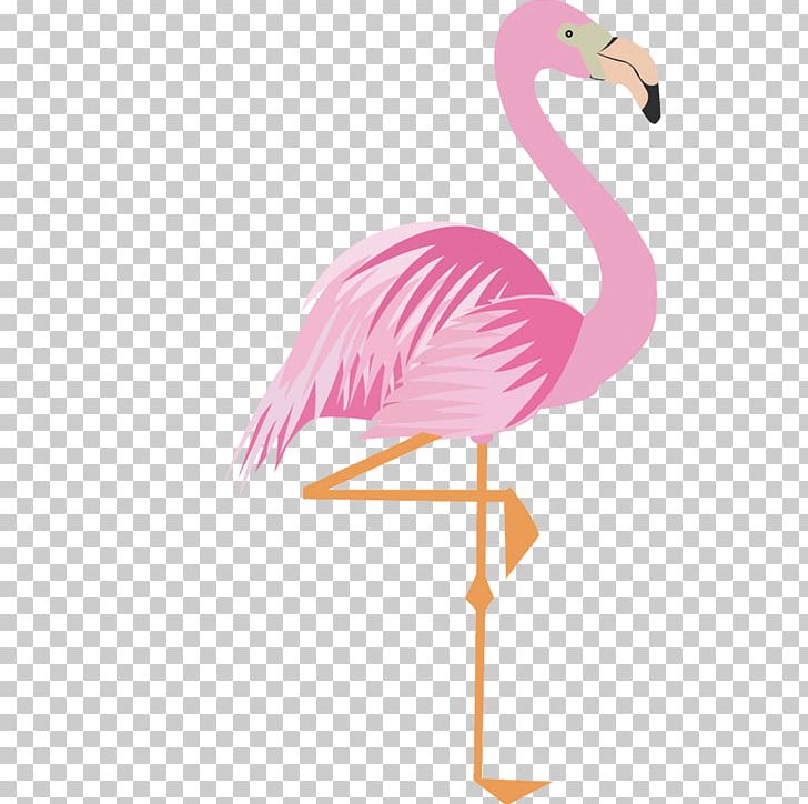 Greater Flamingo Drawing Cartoon PNG, Clipart, 17 Material, Animation, Balloon Cartoon, Beak, Bird Free PNG Download