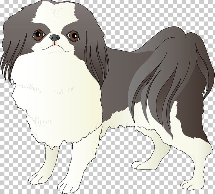 Japanese Chin Dog Breed Companion Dog Spaniel Toy Dog PNG, Clipart, Breed, Breed Group Dog, Carnivoran, Cartoon, Companion Dog Free PNG Download
