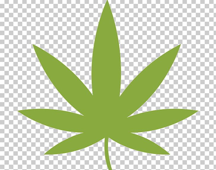 Medical Cannabis Graphics Hemp Computer Icons PNG, Clipart, Cannabis, Cannabis Shop, Computer Icons, Grass, Green Free PNG Download