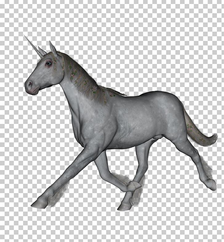 Mule Horse Gouache Halter Sketch PNG, Clipart, Animal Figure, Animals, Elf, Fictional Character, Flickr Free PNG Download