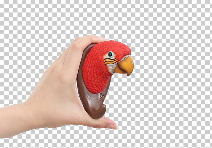 Parrot PNG, Clipart, Animals, Bird, Christmas Decoration, Decorative, Decorative Arts Free PNG Download