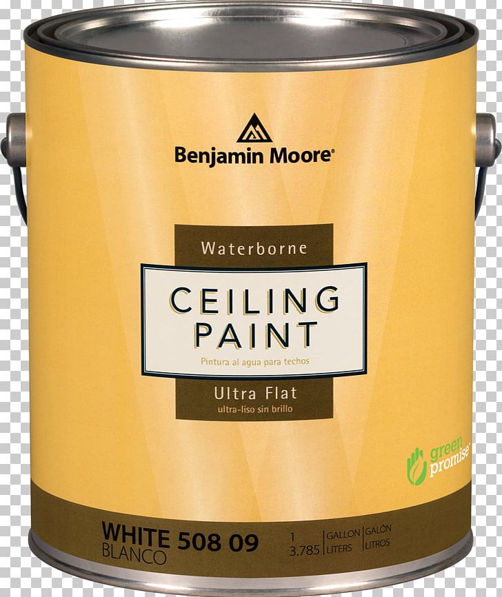 Benjamin Moore & Co. Da Kine Paints LLC PNG, Clipart, Art, Bathroom, Benjamin Moore Co, Building, Ceiling Free PNG Download