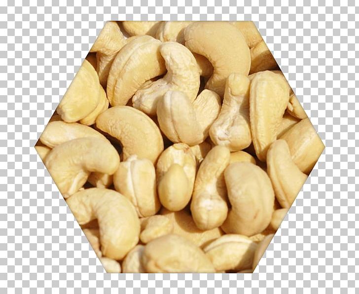 Cashew Panruti Nut Food Dried Fruit PNG, Clipart, Almond, Bulk Foods, Business, Cashew, Coconut Free PNG Download