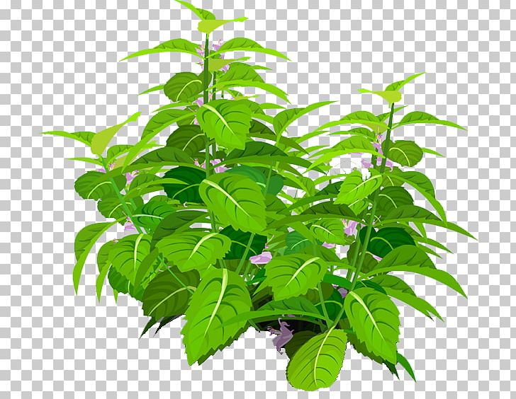 Leaf Flowerpot Tree Herb PNG, Clipart, Beautiful, Decoration, Flowerpot, Food Drinks, Herb Free PNG Download