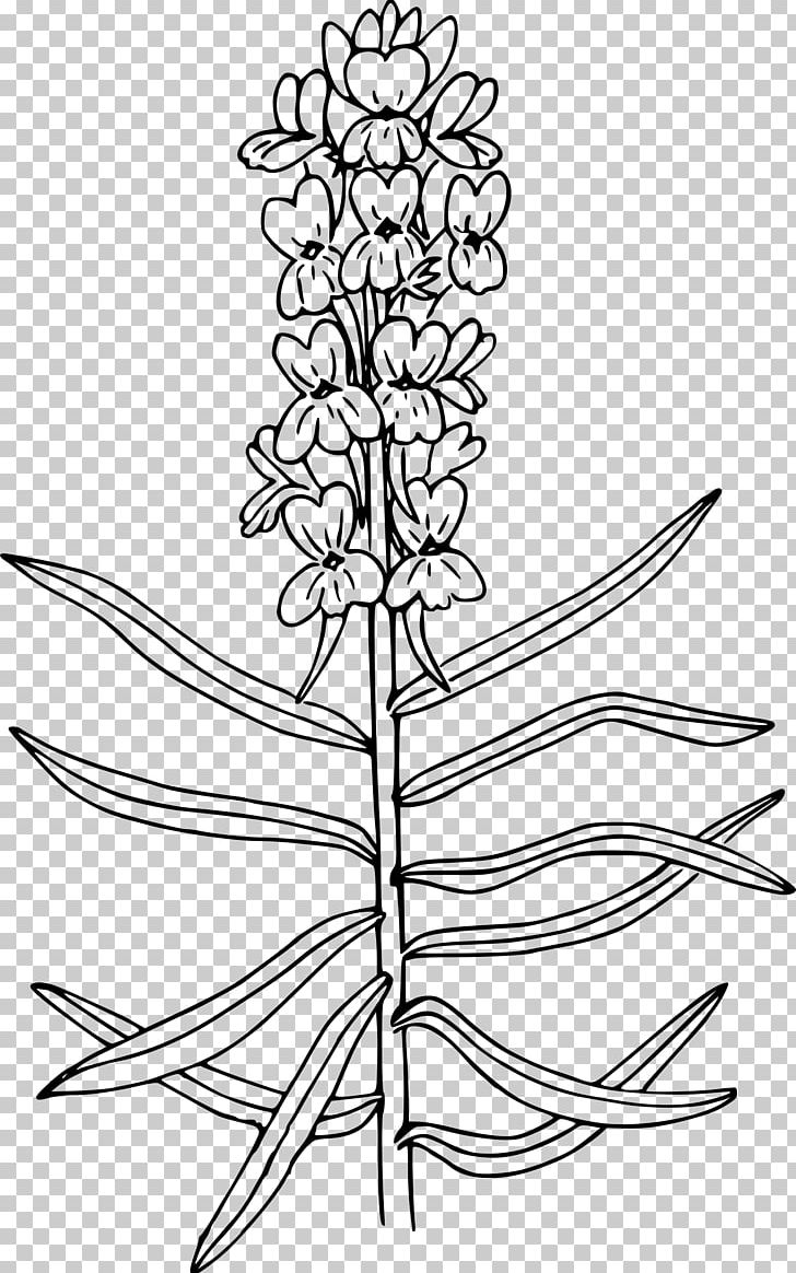 Wildflower Coloring Book Drawing Antirrhinum Majus PNG, Clipart, Angle, Antirrhinum Majus, Black And White, Bluebonnet, Branch Free PNG Download