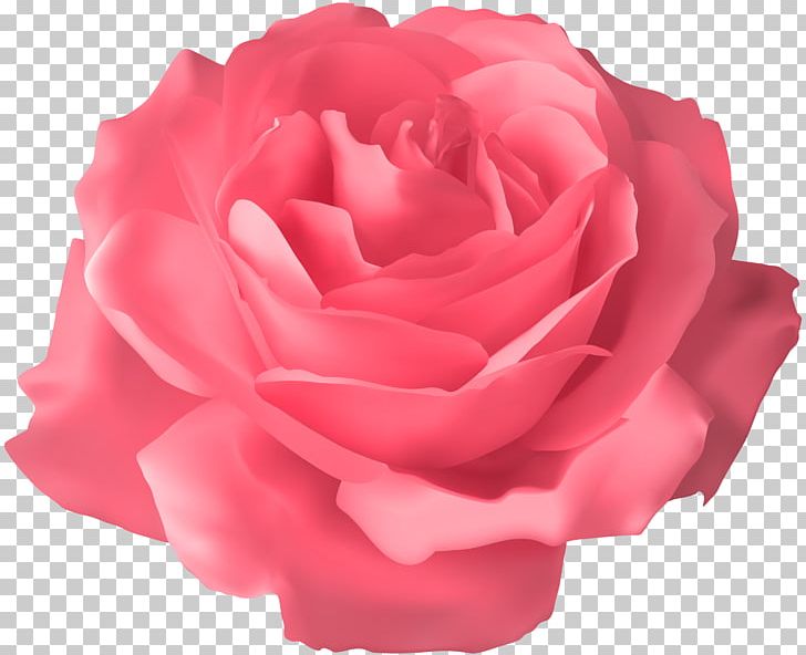 Blue Rose PNG, Clipart, Blue Rose, China Rose, Clipart, Clip Art, Color Free PNG Download