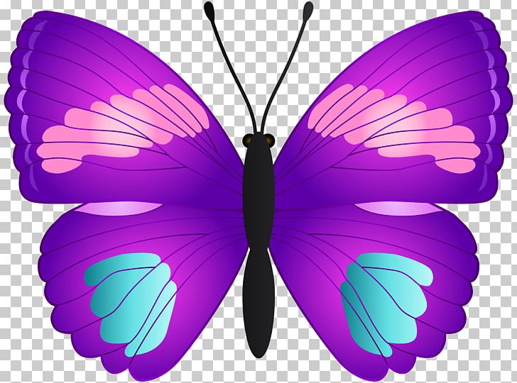 Monarch Butterfly PNG, Clipart, Art, Arthropod, Art Museum, Brush Footed  Butterfly, Butterflies Free PNG Download