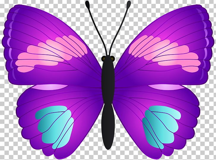 Monarch Butterfly PNG, Clipart, Art, Arthropod, Art Museum, Brush Footed Butterfly, Butterflies Free PNG Download