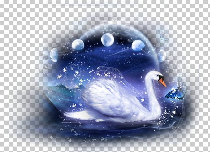 Swan PNG, Clipart, 169, 1080p, Animals, Blue, Color Free PNG Download