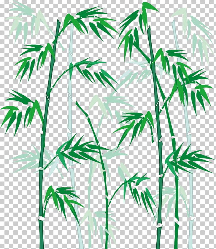 Bamboo Cartoon PNG, Clipart, Arecales, Art, Blade, Branch, Coreldraw Free PNG Download