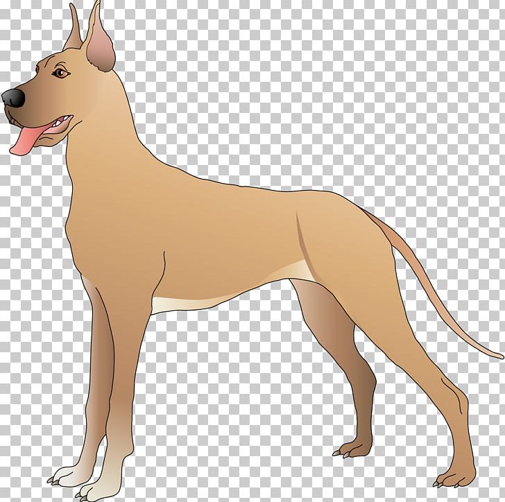 Dog Animal PNG, Clipart, Animal, Animals, Carnivoran, Cartoon, Clip Art Free PNG Download