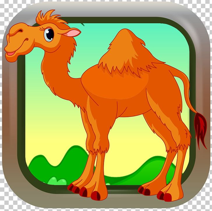 Dromedary Baby Gnome (game For Babies) Animal Vertebrate PNG, Clipart, Alphabet, Animal, Arabian Camel, Camel, Camel Like Mammal Free PNG Download