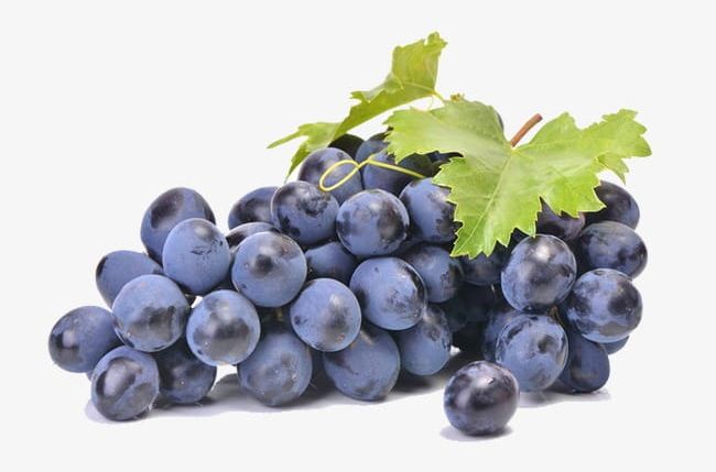 Grape PNG, Clipart, Agriculture, Autumn, Back, Berry Fruit, Blue Free ...