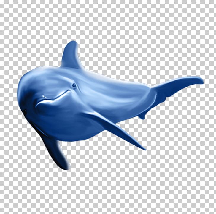 Common Bottlenose Dolphin Tucuxi Dolphin PNG, Clipart, Animals, Blue, Blue Whale, Cartoon, Cartoon Whale Free PNG Download