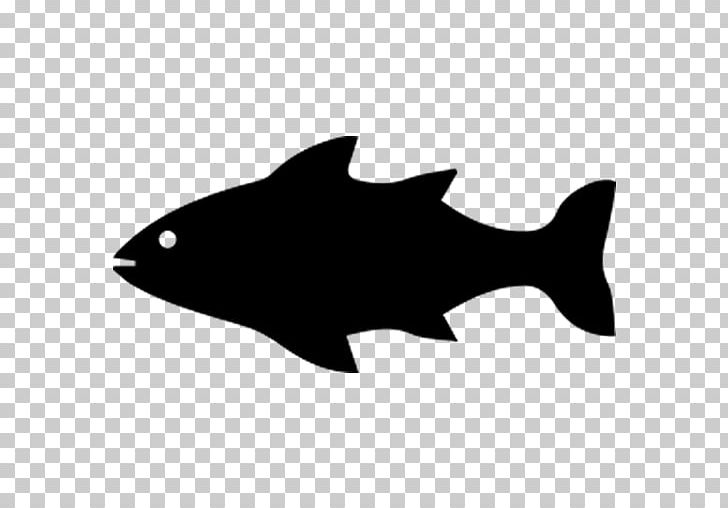 Fishing Barbel Salminus Brasiliensis PNG, Clipart, Animals, Aquaponics, Barbel, Black, Black And White Free PNG Download