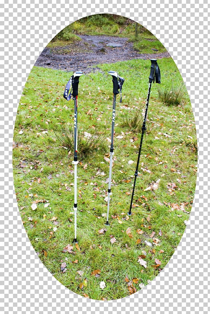 Hiking Poles LEKI Lenhart GmbH Makalu Tentlife PNG, Clipart, Grass, Hiking, Hiking Poles, Leki Lenhart Gmbh, Makalu Free PNG Download