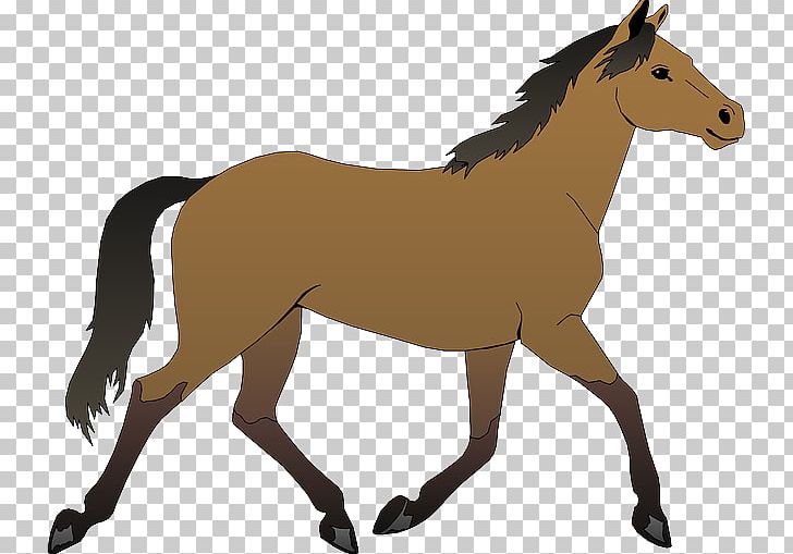 Horse Pony Foal PNG, Clipart, Animal Figure, Animals, Animation, Bridle, Cartoon Free PNG Download