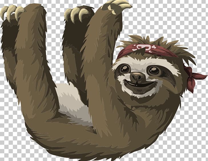 Three-toed Sloth Cartoon Illustration PNG, Clipart, Animal, Animals, Bear, Branch, Branches Free PNG Download