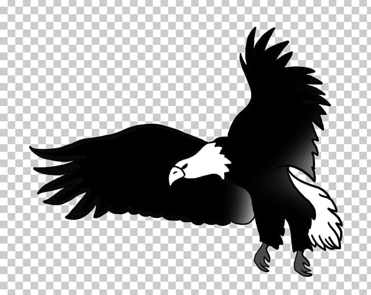 Bald Eagle Circuit Diagram Drawing PNG, Clipart, Accipitriformes, Animals, Bald, Bald Eagle, Beak Free PNG Download