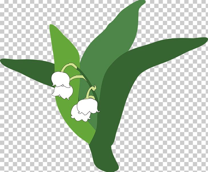Lily Of The Valley PNG, Clipart, Euclidean Vector, Fictional Character, Flowers, Grass, Green Free PNG Download