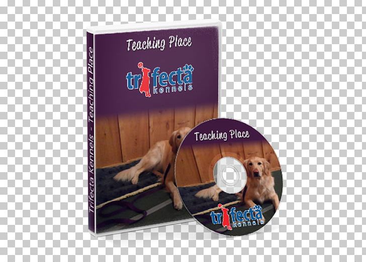 Teach Your Dog To Come When Called Puppy DVD Training PNG, Clipart, Dog, Dog Training, Dvd, Eye, Food Free PNG Download