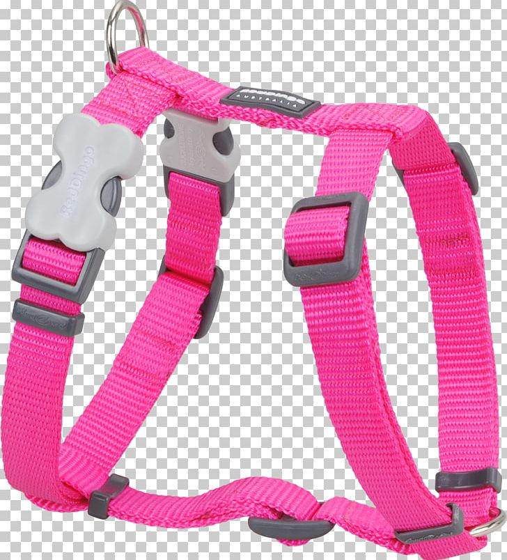 Dingo Dog Harness Puppy Dog Collar PNG, Clipart, Animals, Collar, Dingo, Dog, Dog Collar Free PNG Download