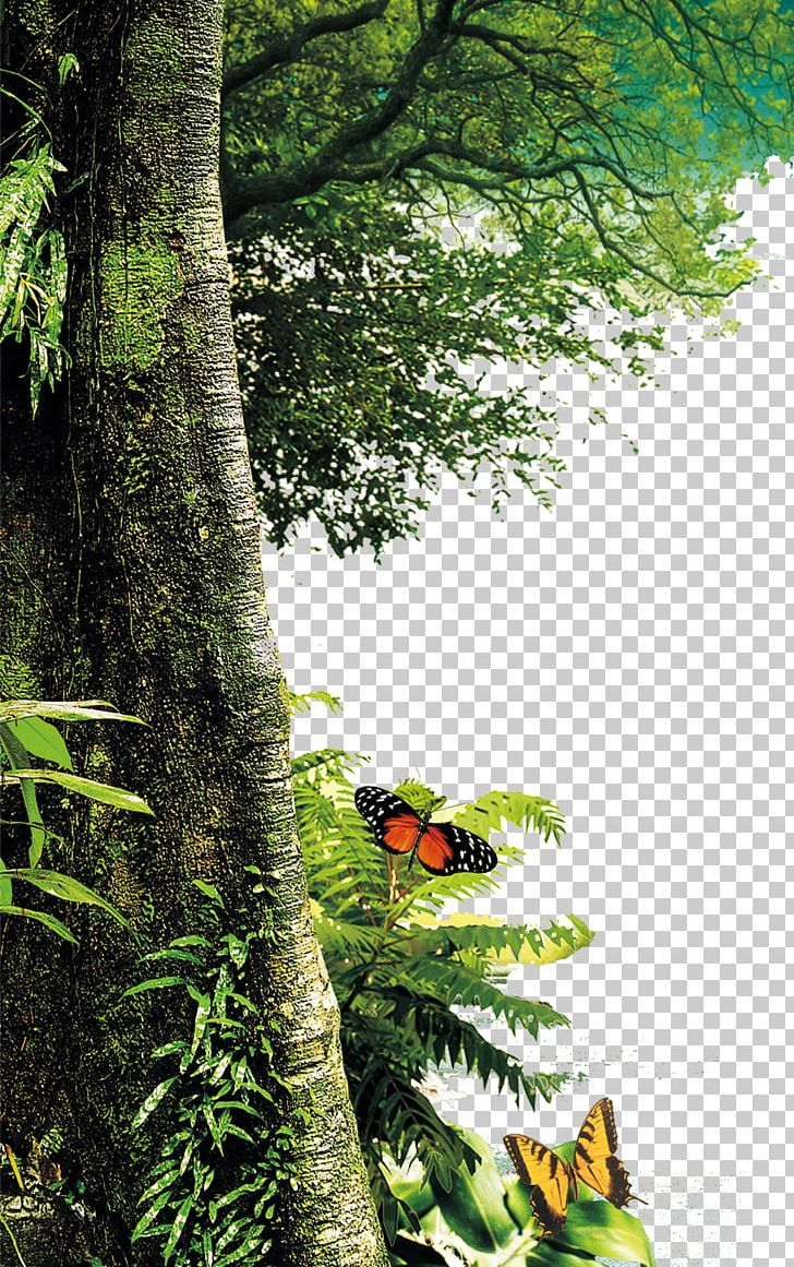 Tree Nature Landscape Painting Leaf PNG, Clipart, Biome, Bird, Branch, Computer Icons, Decorative Patterns Free PNG Download