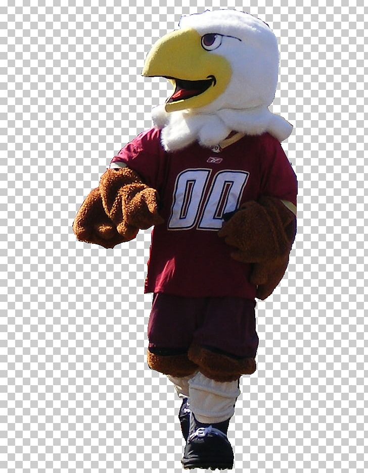 Boston College Baldwin The Eagle Mascot Costume PNG, Clipart, Boston, Boston College, College, Costume, Eloquence Free PNG Download