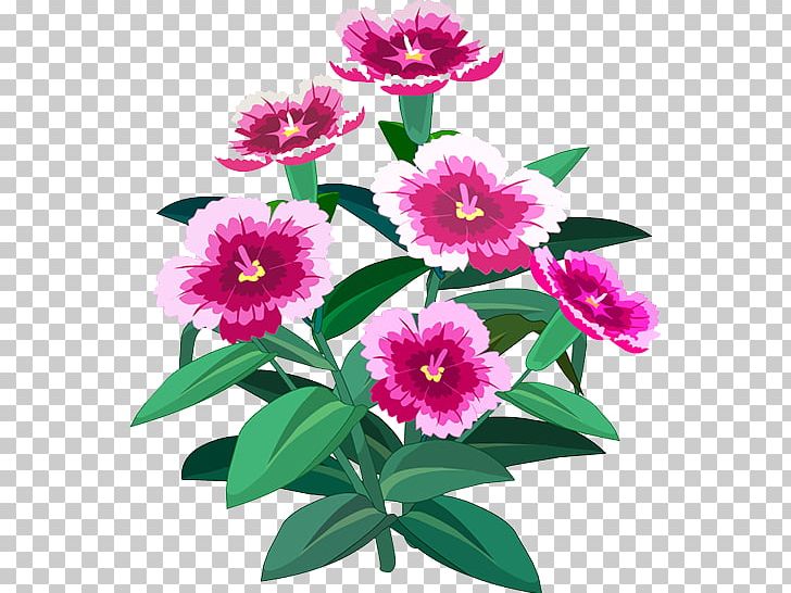 Peony Floral Design Herbaceous Plant Annual Plant Magenta PNG, Clipart, Beautiful, Decoration, Family, Floral Design, Flower Free PNG Download