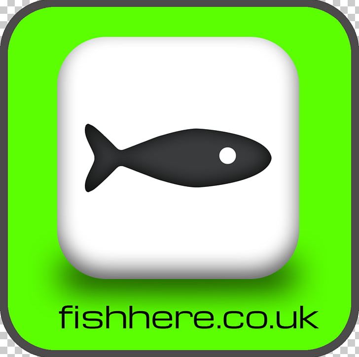 Recreational Fishing Angling Catch And Release Blog PNG, Clipart, Angle, Angling, App, Appin, Area Free PNG Download