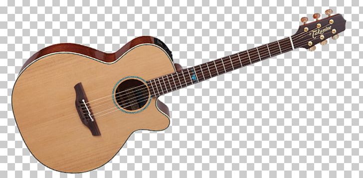 Twelve-string Guitar Takamine Guitars Acoustic-electric Guitar Acoustic Guitar PNG, Clipart, Acoustic Electric Guitar, Classical Guitar, Cuatro, Cutaway, Guitar Accessory Free PNG Download