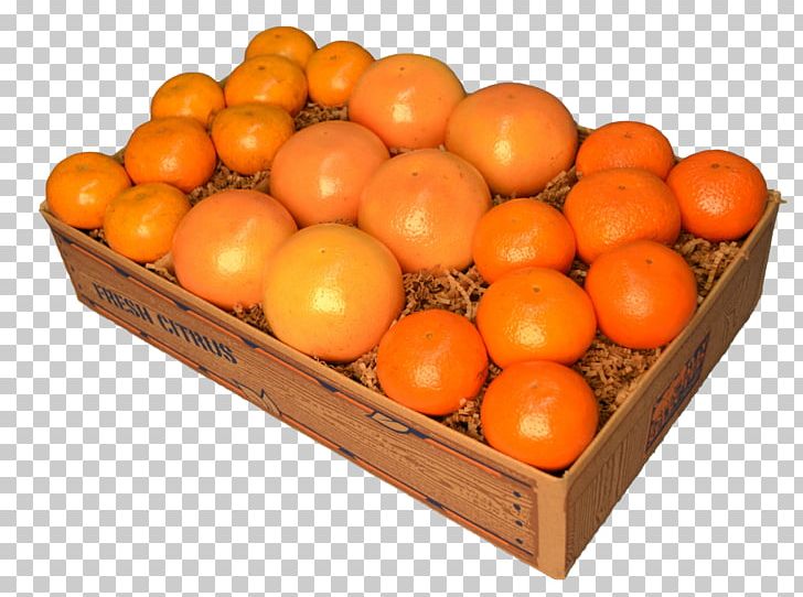 Clementine Tangerine Grapefruit Mandarin Orange PNG, Clipart, Citrus, Clementine, Diospyros, Food, Fruit Free PNG Download