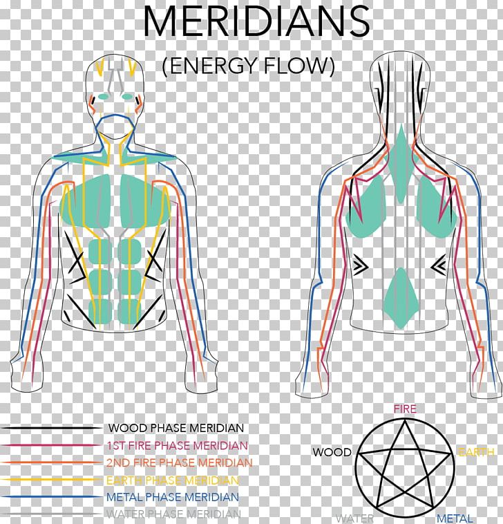 Graphic Design Shoulder Homo Sapiens PNG, Clipart, Abdomen, Area, Behavior, Clothing, Diagram Free PNG Download