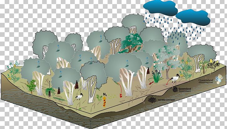 Gum Trees Ecosystem Floodplain Swamp PNG, Clipart,  Free PNG Download