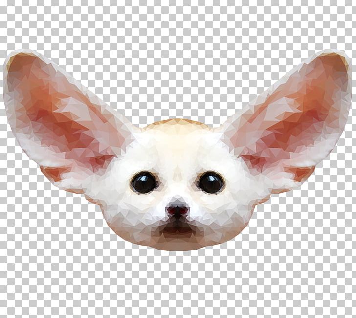 Chihuahua Fennec Fox Red Fox Puppy PNG, Clipart, Animal, Animals, Canidae, Carnivora, Carnivoran Free PNG Download