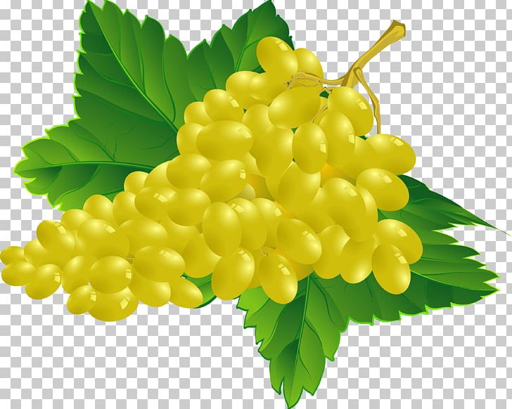 Common Grape Vine Wine Grape Leaves PNG, Clipart, Berry, Black, Download, Encapsulated Postscript, Food Free PNG Download