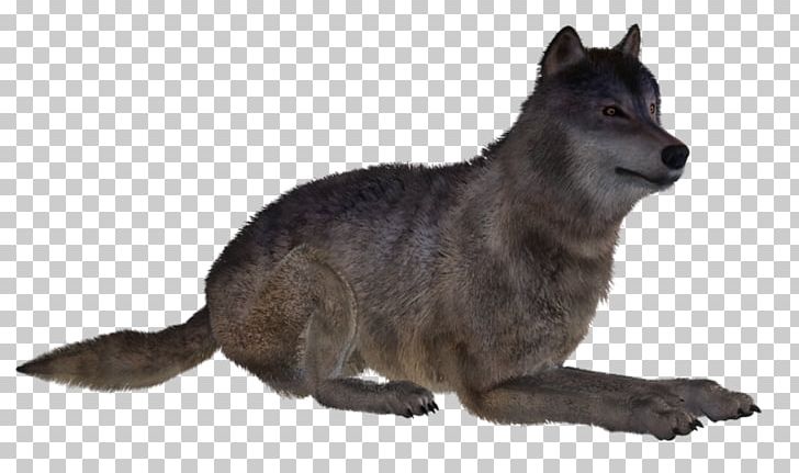 Gray Wolf Fur National Institute For Documentation PNG, Clipart, Carnivoran, Dog Like Mammal, Fauna, Free Mobile, Fur Free PNG Download
