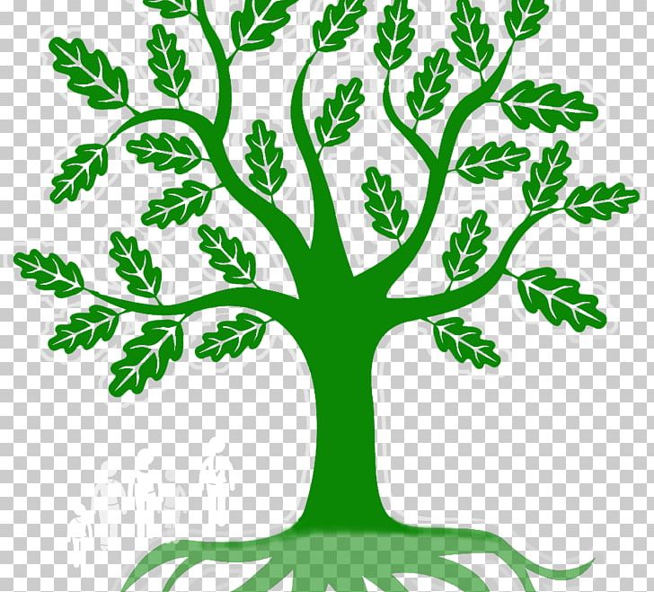 Branch Green Leaf Root PNG, Clipart, Artwork, Branch, Computer Icons, Flora, Flower Free PNG Download
