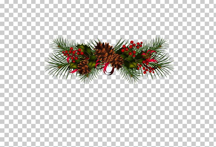 Conifer Cone Christmas PNG, Clipart, Branch, Christmas, Christmas Background, Christmas Ball, Christmas Decoration Free PNG Download