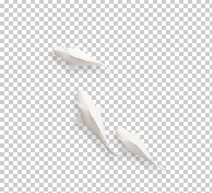 Koi White Portable Network Graphics Carp Feather PNG, Clipart, Aura, Avatan, Avatan Plus, Carp, Feather Free PNG Download