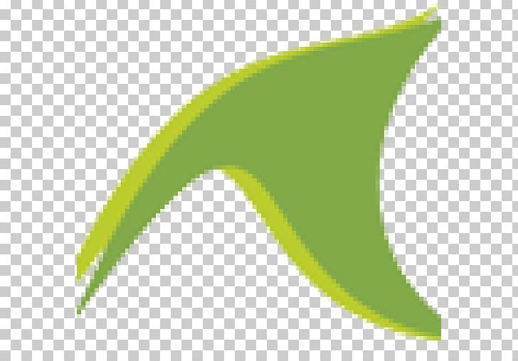 Leaf Plant Stem PNG, Clipart, Angle, Crop, Fav, Grass, Green Free PNG Download