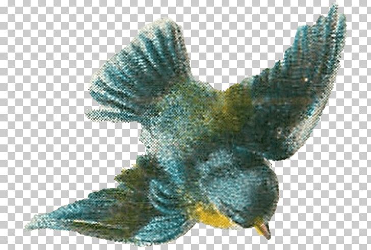 Bird PNG, Clipart, Animals, Beak, Bird, Birdcage, Bird Drawing Free PNG Download
