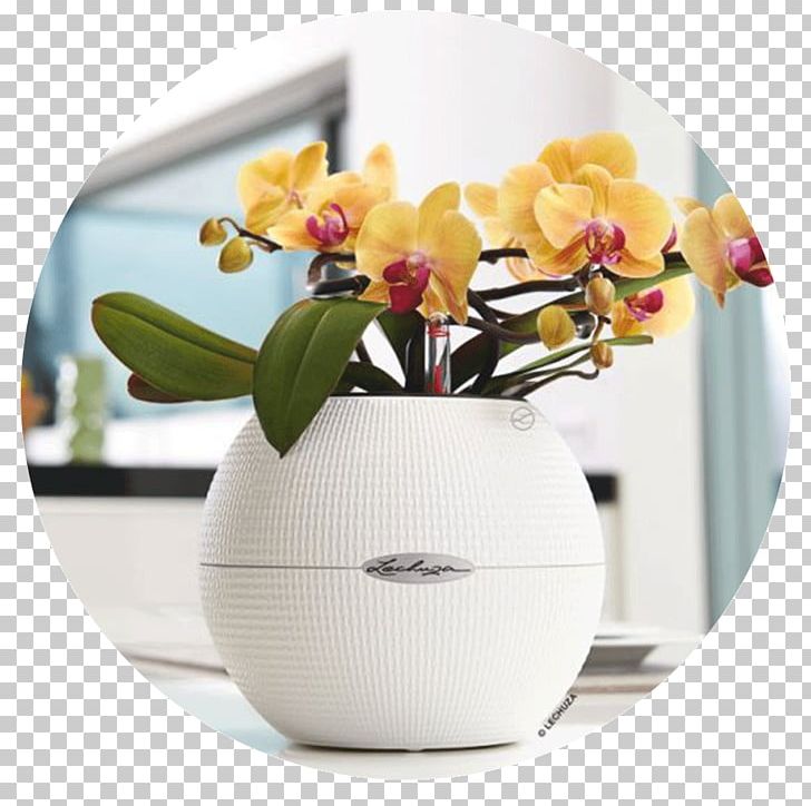 Flowerpot Plant Plastic Ceramic PNG, Clipart, Artificial Flower, Ceramic, Clay, Container, Cut Flowers Free PNG Download