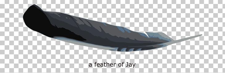 Shoe Angle PNG, Clipart, Angle, Art, Feather, Jay, Shoe Free PNG Download