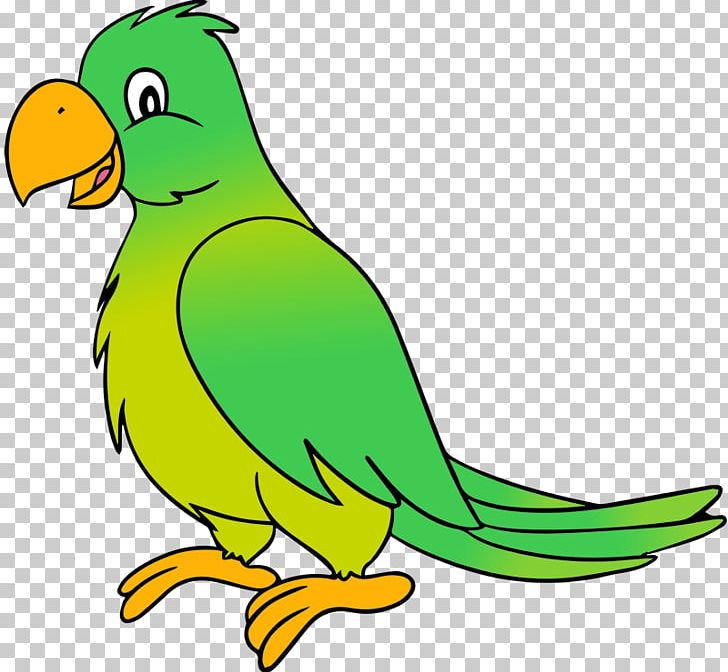 Parrot Lovebird PNG, Clipart, Area, Artwork, Beak, Bird, Blog Free PNG Download