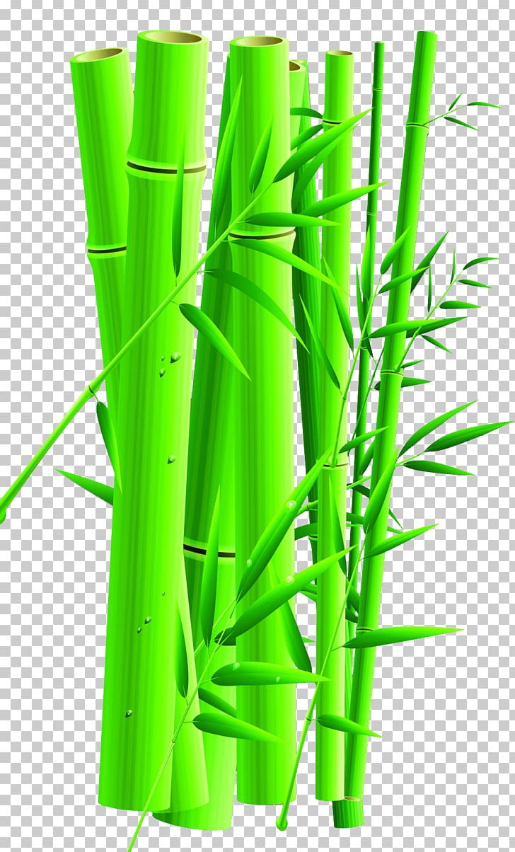 Zongzi Dragon Boat Festival U7aefu5348 Traditional Chinese Holidays PNG, Clipart, 5u6708, 5u67085u65e5, Angle, Bamboo, Bamboo Border Free PNG Download